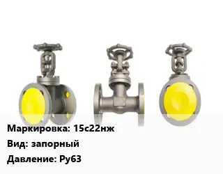 Вентиль стальной - клапан запорный 15с22нж запорный Ру63